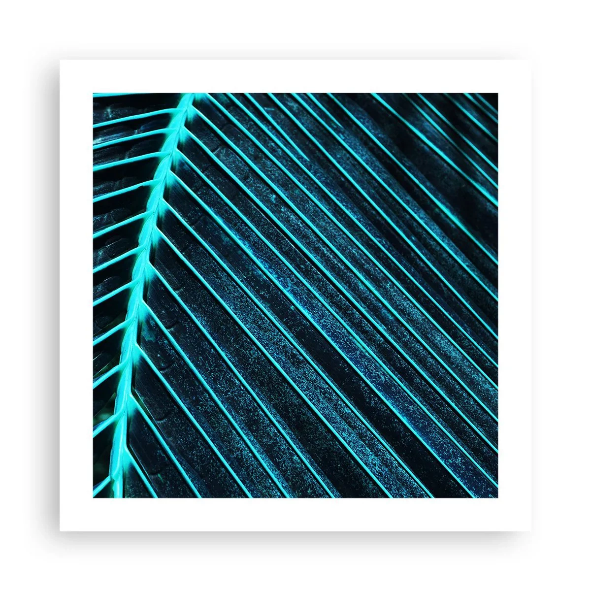 Plakat - Tekstur af grønt - 50x50 cm