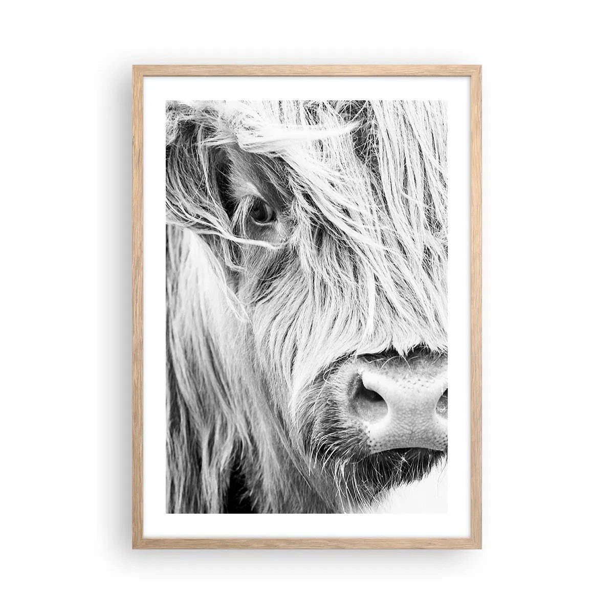 Plakat i ramme af lyst egetræ - Skotsk vildmark - 50x70 cm