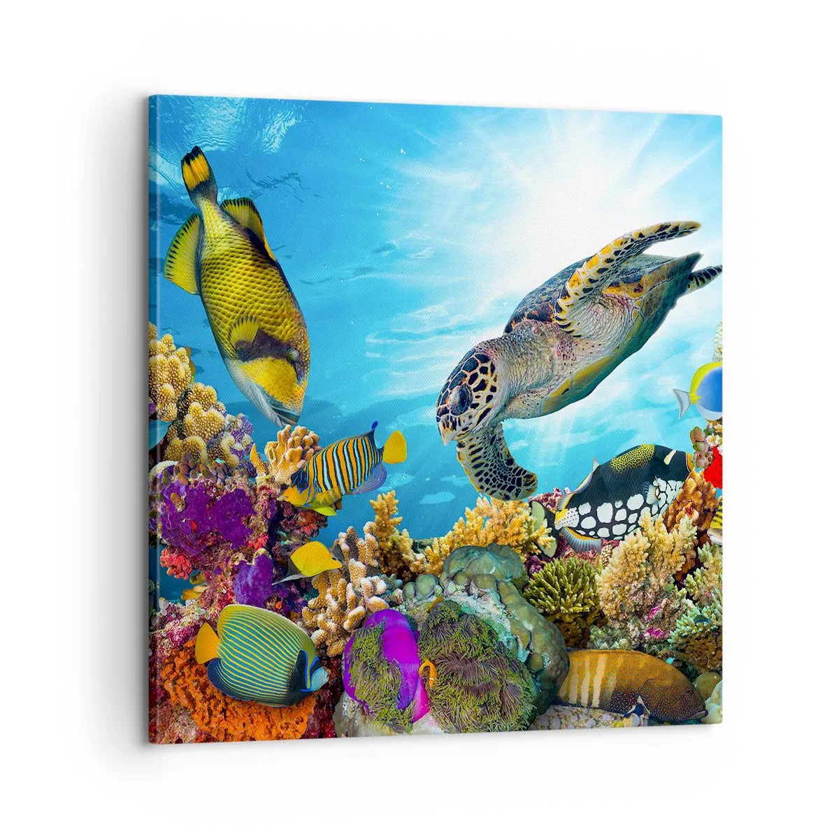 Lærredstryk - Billede på lærred - Koralpromenade - 60x60 cm