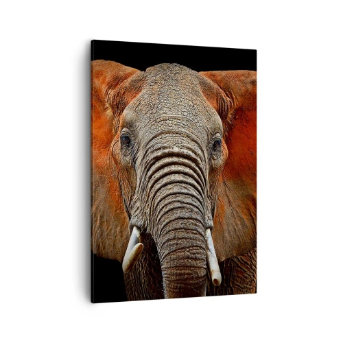 Lærredstryk - Billede på lærred - Jeg er vild, er du? - 50x70 cm