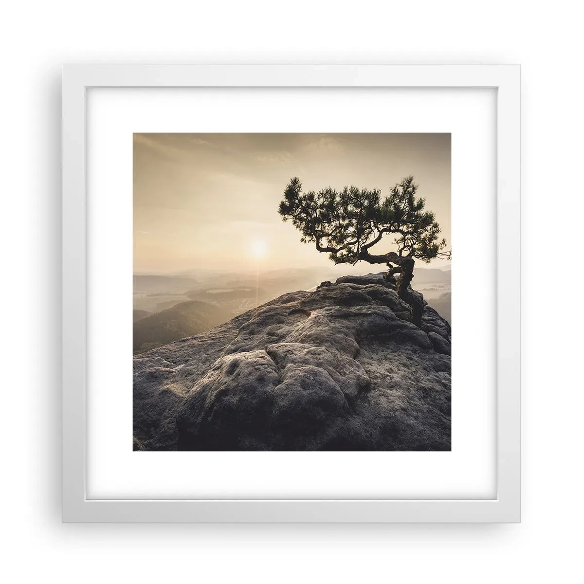 Plakat i hvid ramme - Livet vinder altid - 30x30 cm