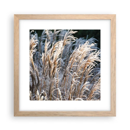 Plakat i ramme af lyst egetræ - Pyntet med frost - 30x30 cm