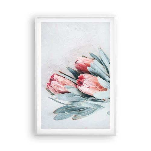 Plakat i hvid ramme - Skammer sig over deres egen skønhed - 61x91 cm