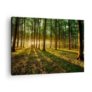 Lærredstryk - Billede på lærred - Den nedgående sol i løvskoven - 70x50cm - Fotografering af alle fjedre - Moderne vægdekoration til stue og soveværelse ARTTOR