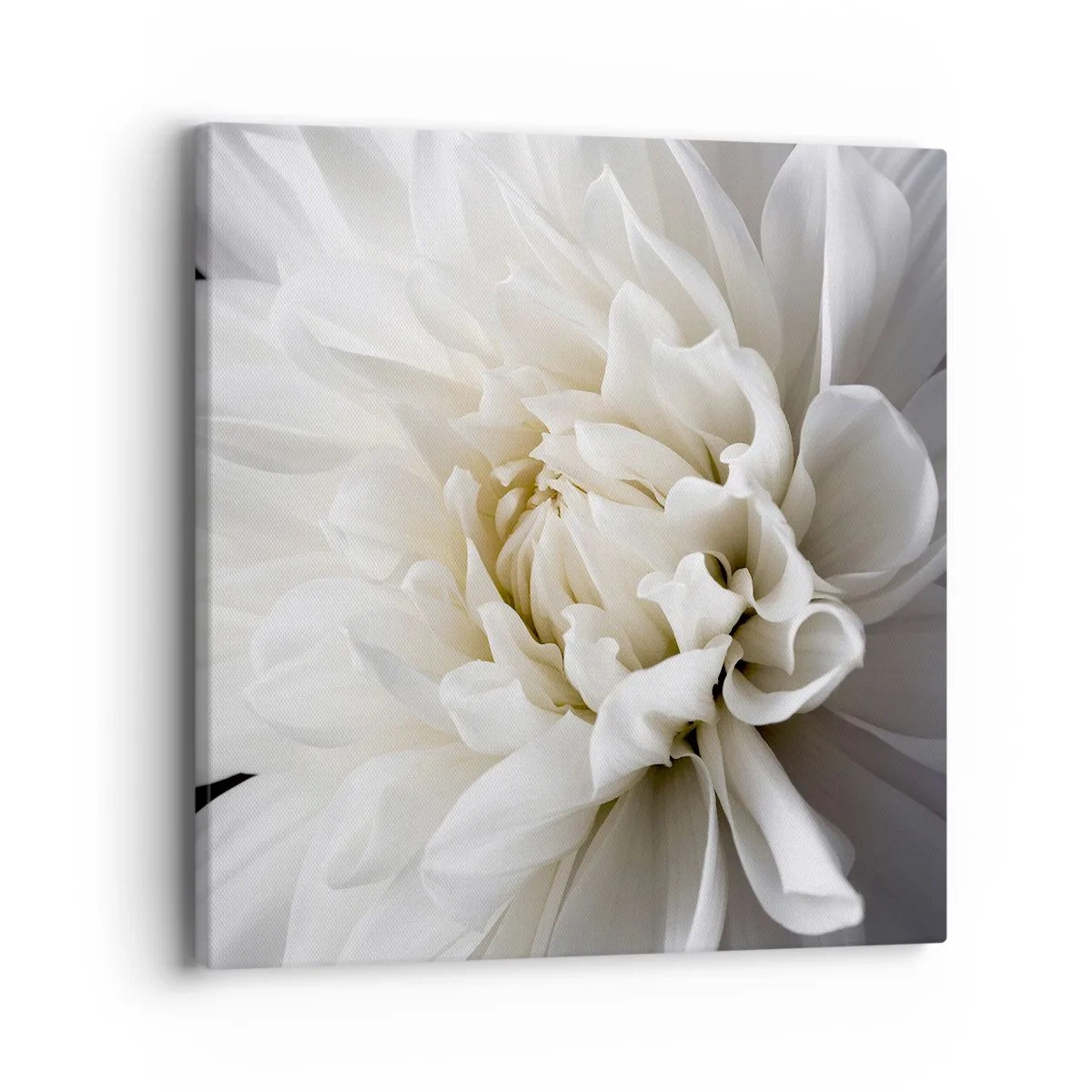 Lærredstryk - Billede på lærred - Morgenbrud - 40x40 cm