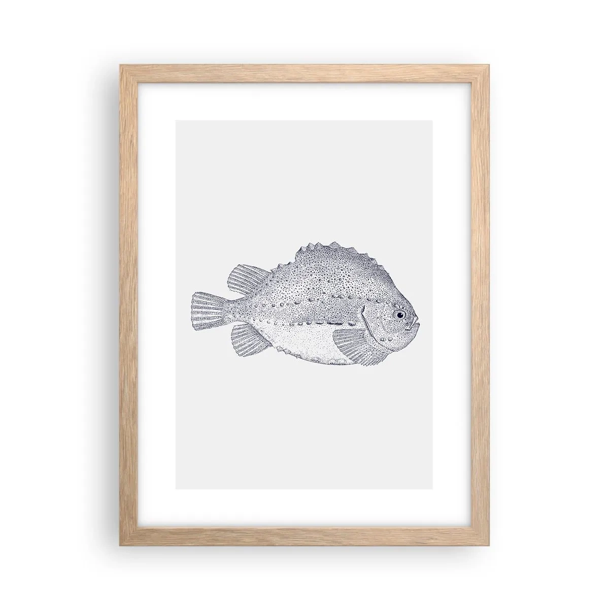 Plakat i ramme af lyst egetræ - Til naturforskerens album - 30x40 cm