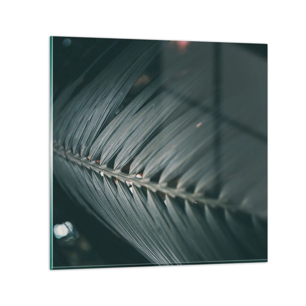 Billede på glas - Naturens præcision - 40x40 cm