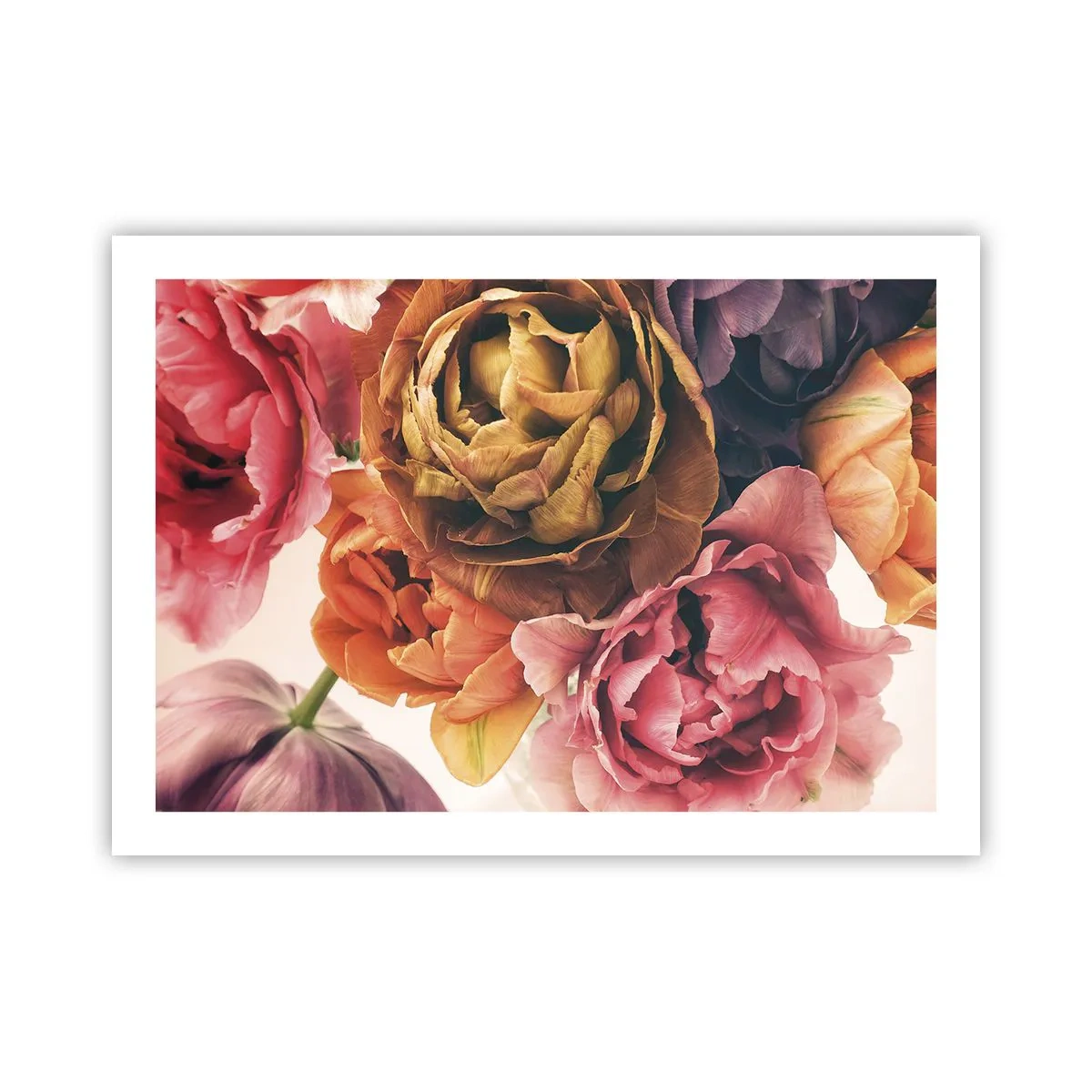 Plakat - Fejring af livet - 70x50 cm