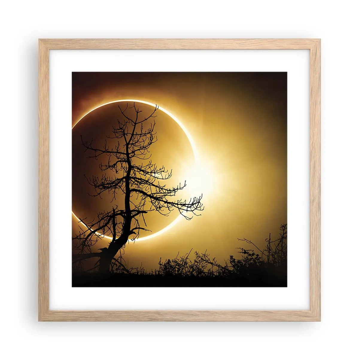 Plakat i ramme af lyst egetræ - Total formørkelse - 40x40 cm