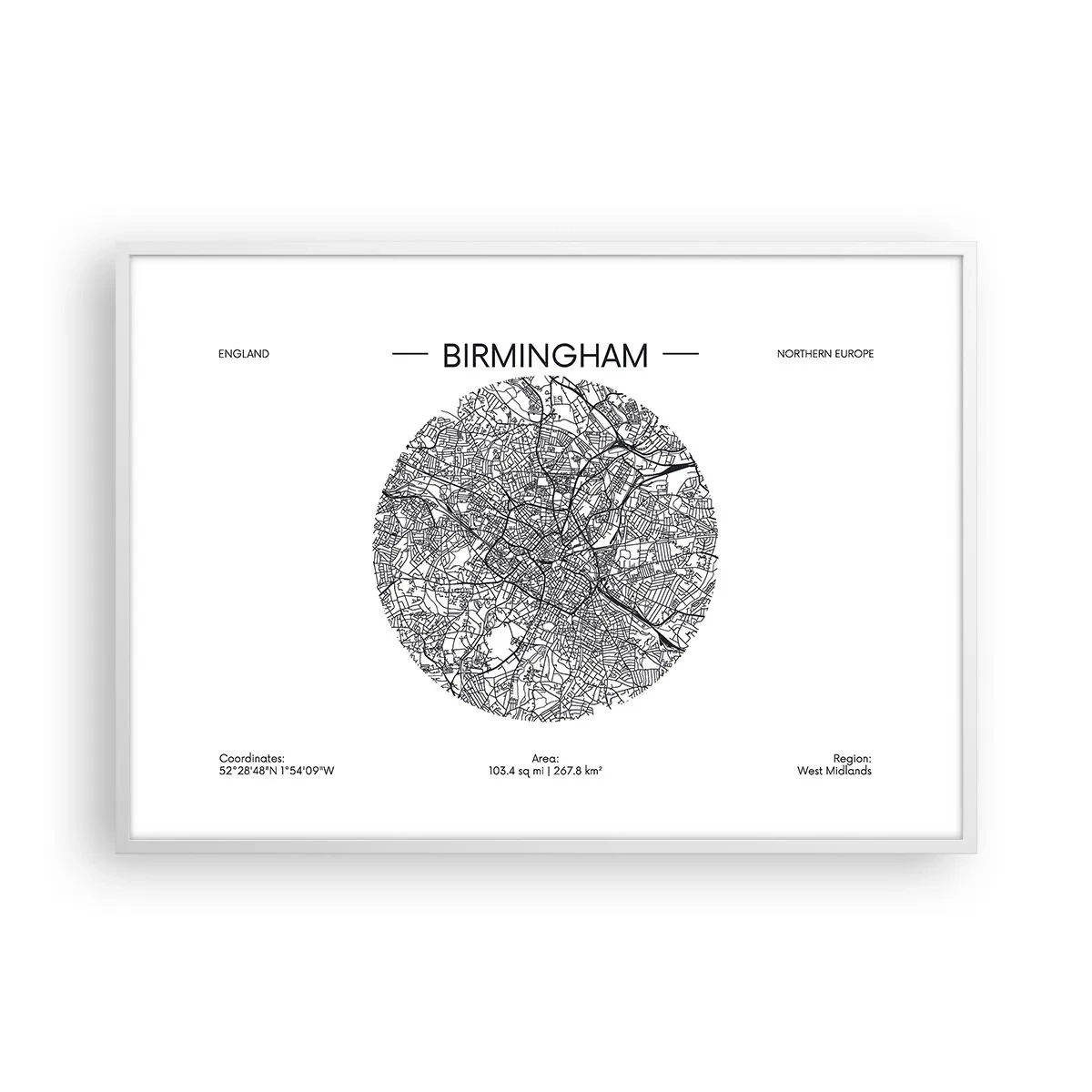 Plakat i hvid ramme - Birminghams anatomi - 100x70 cm