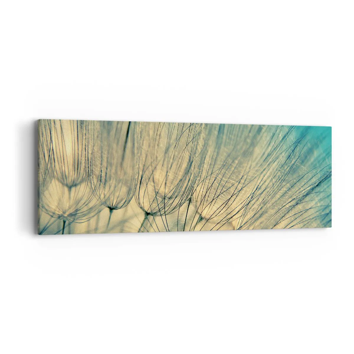 Lærredstryk - Billede på lærred - Venter på vinden - 90x30 cm