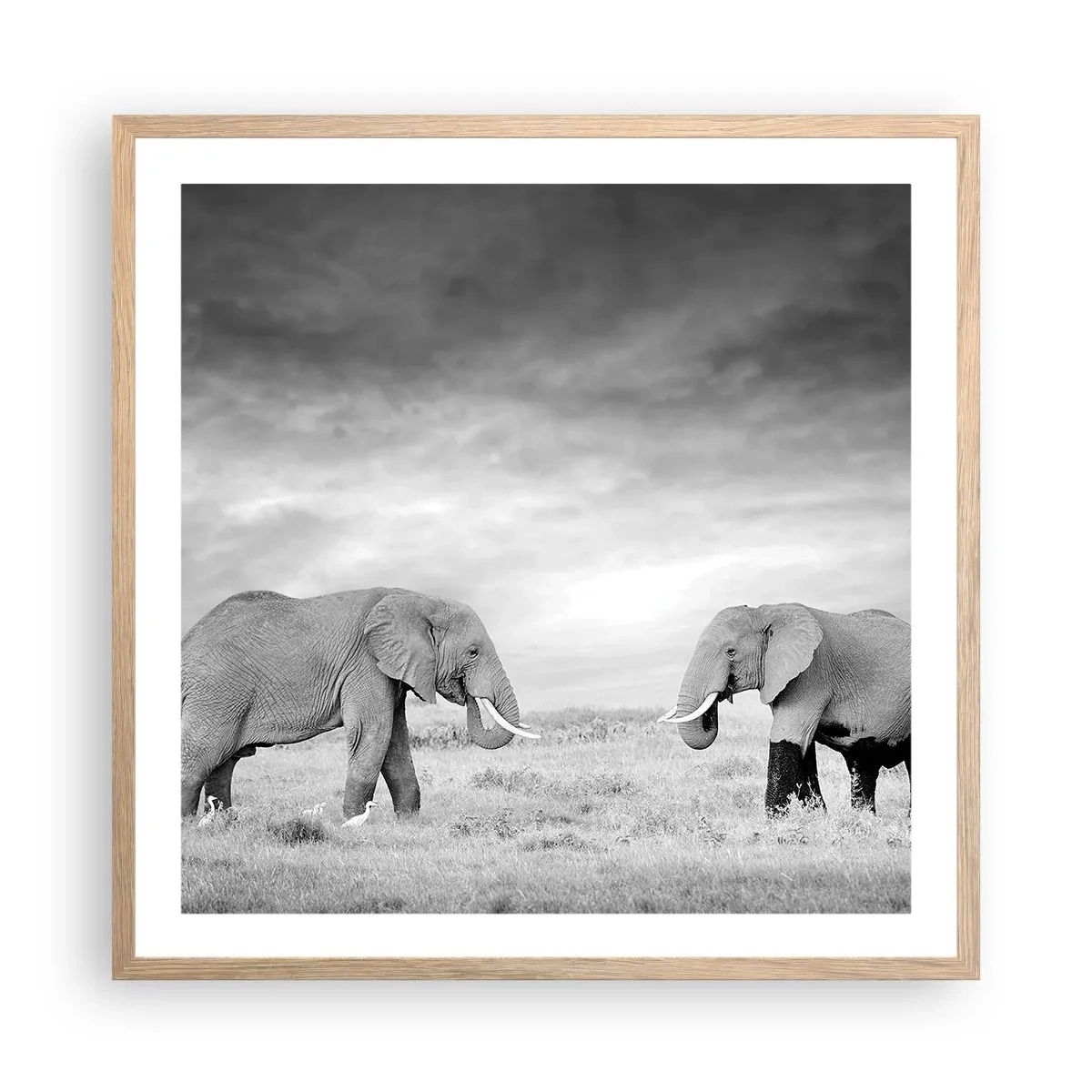 Plakat i ramme af lyst egetræ - Gråt er smukt - 60x60 cm