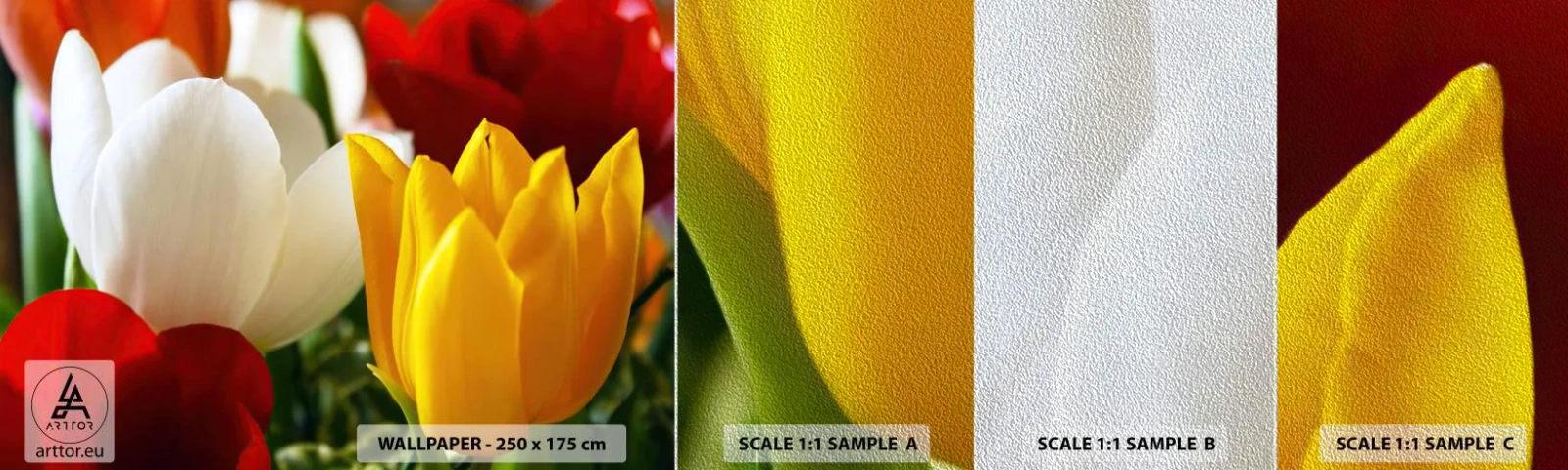 Prøve Fototapet Premium Sand - Tulipanfeber - Blomster, Tulipaner, Buket blomster - 100x30 cm