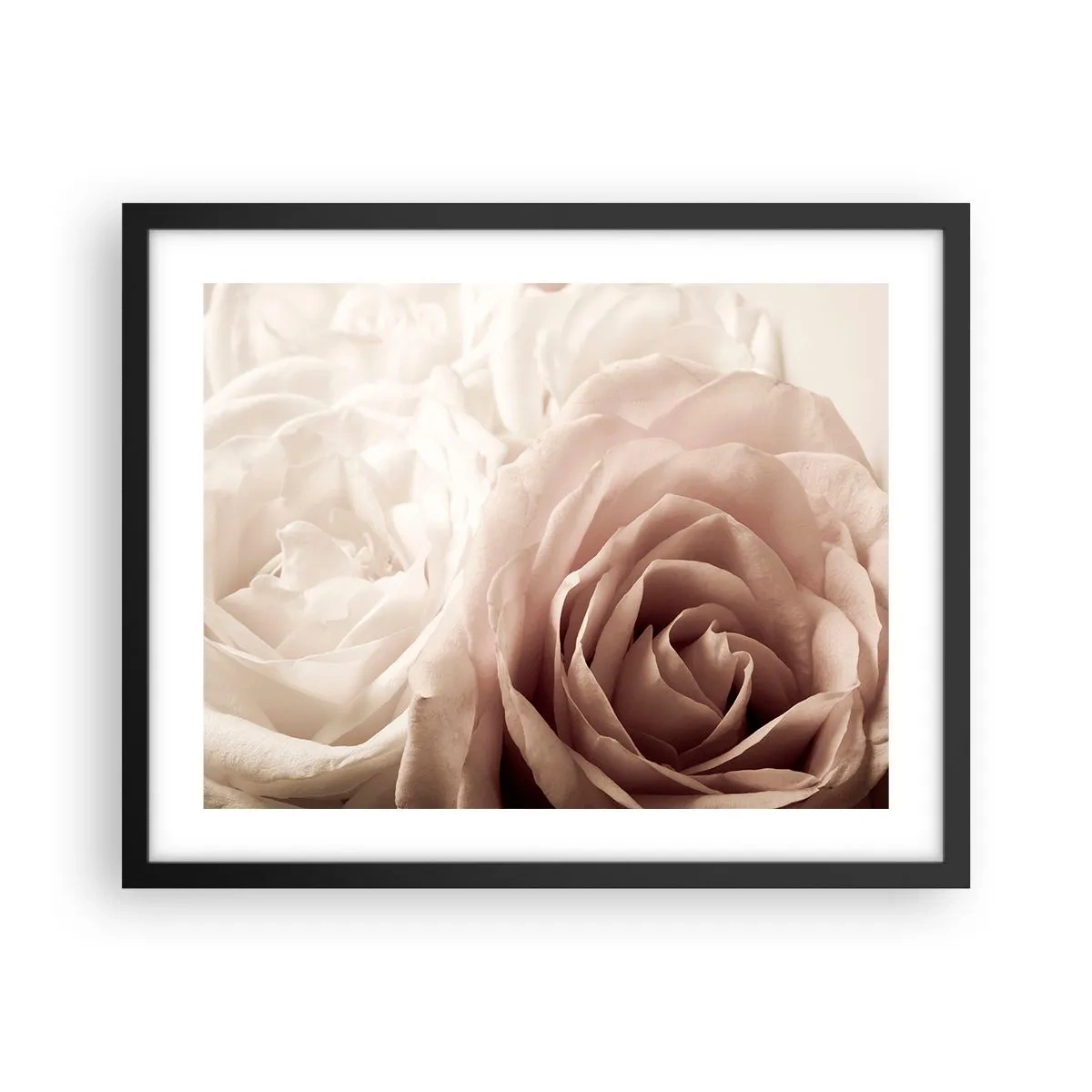 Plakat i sort ramme - I rosens hjerte - 50x40 cm