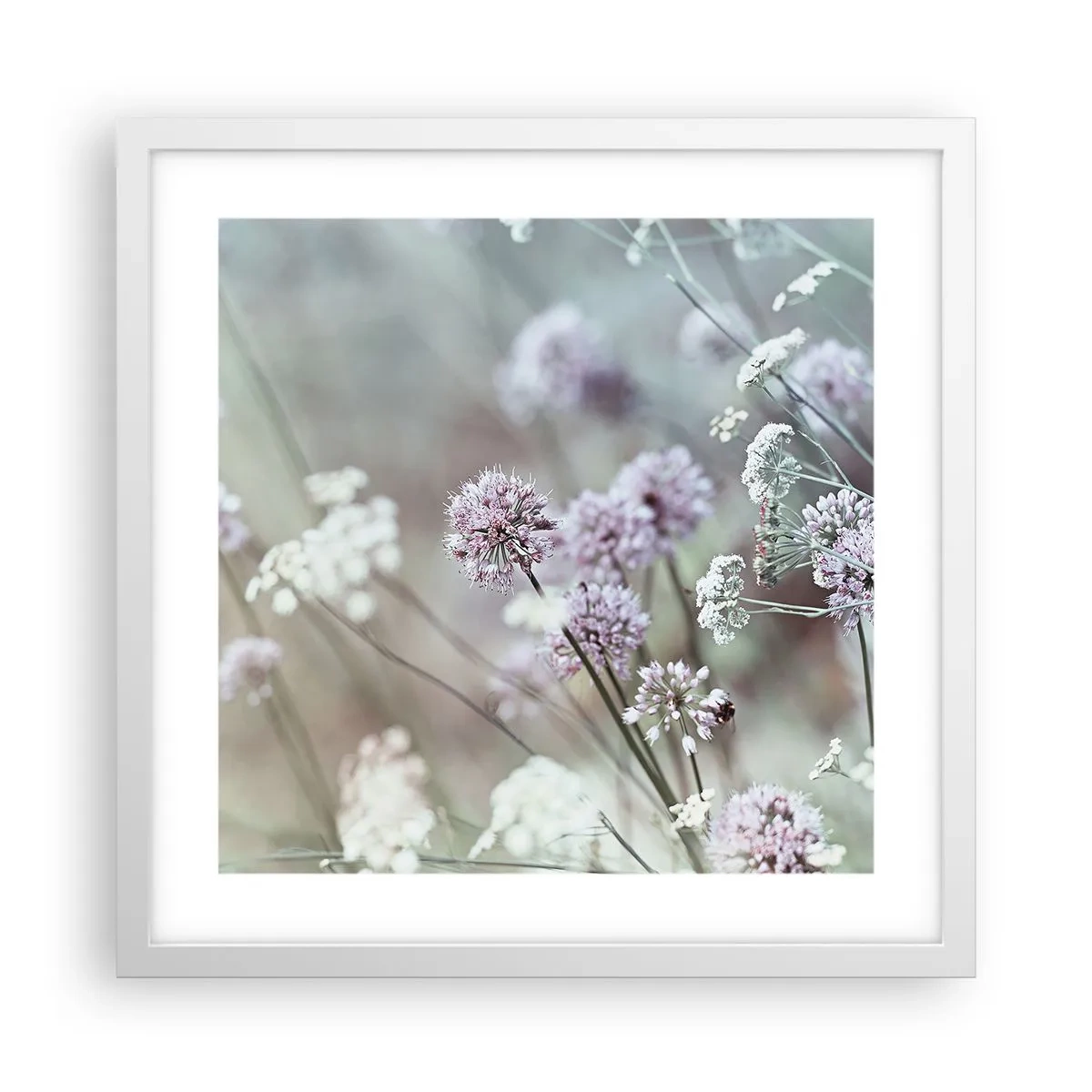 Plakat i hvid ramme - Søde filigranurter - 40x40 cm