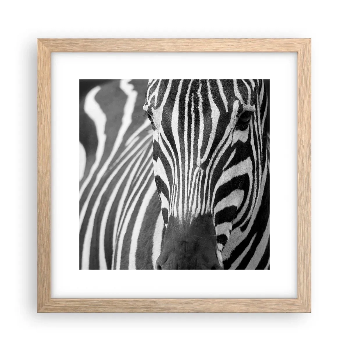 Plakat i ramme af lyst egetræ - Verden er sort og hvid - 30x30 cm