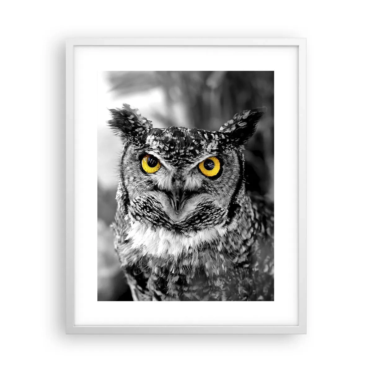 Plakat i hvid ramme - Intet kan skjules - 40x50 cm