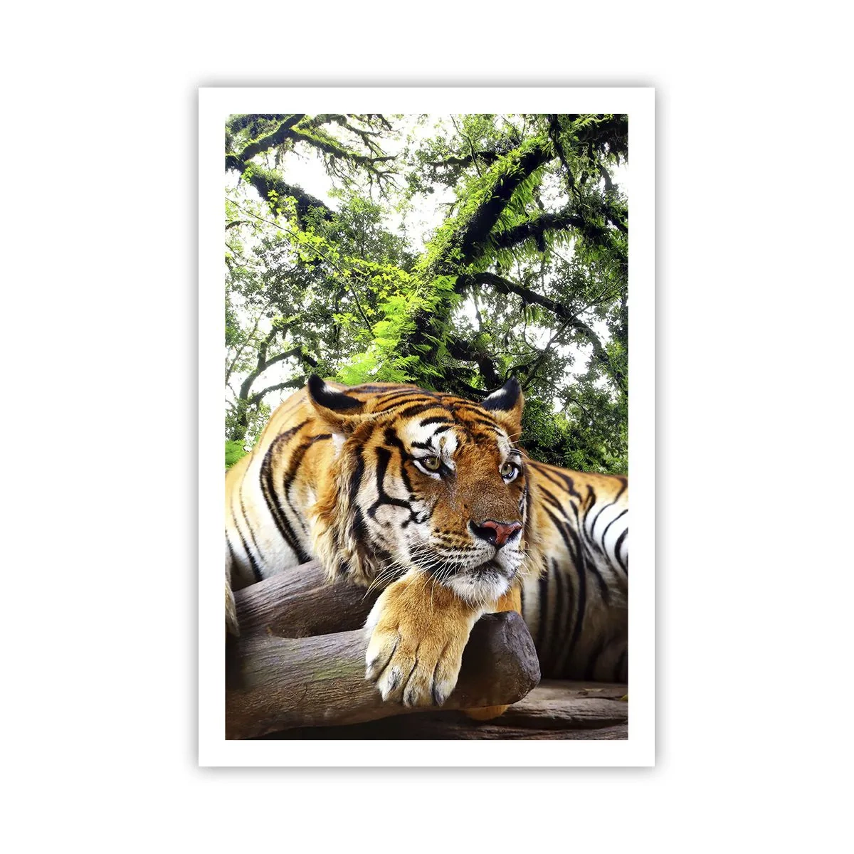 Plakat - Med venlig hilsen - 61x91 cm