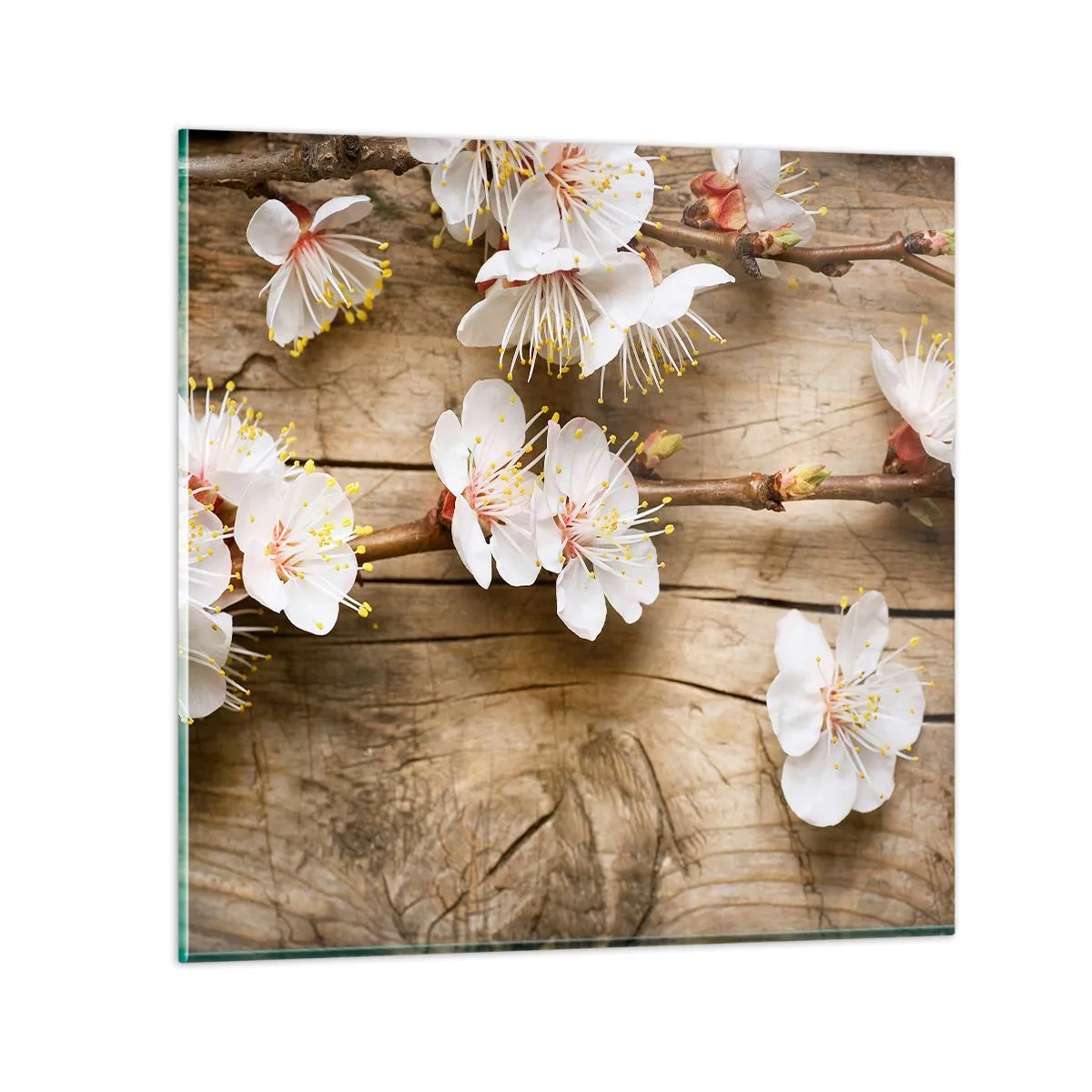 Billede på glas - Og det blev forår - 50x50 cm