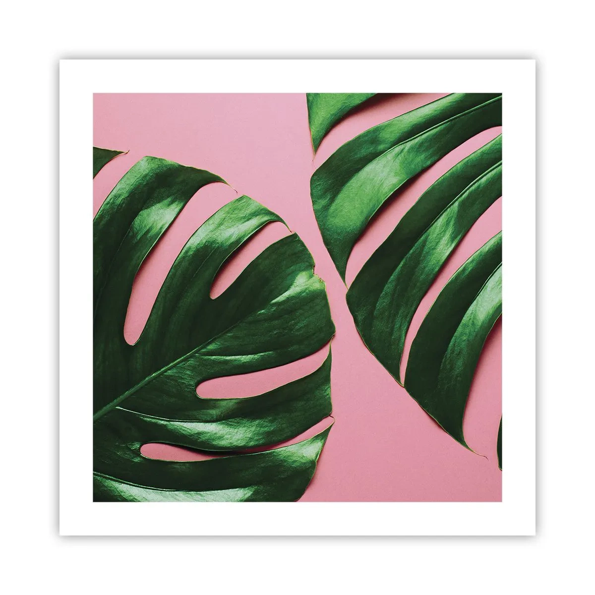 Plakat - Grønt rendez-vous - 50x50 cm