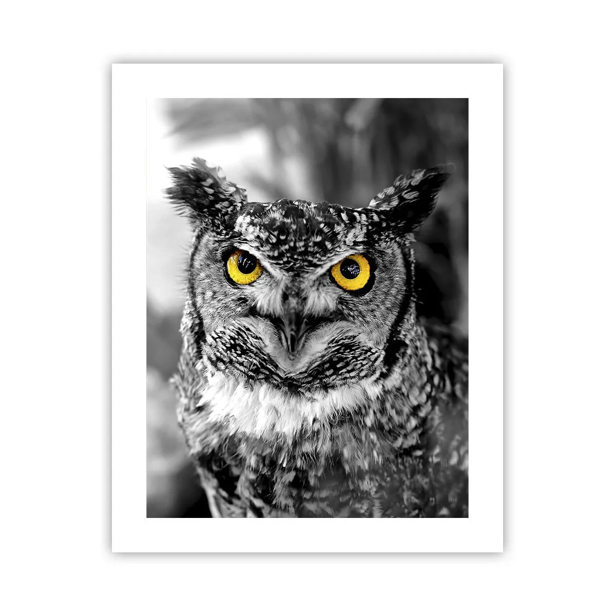 Plakat - Intet kan skjules - 40x50 cm