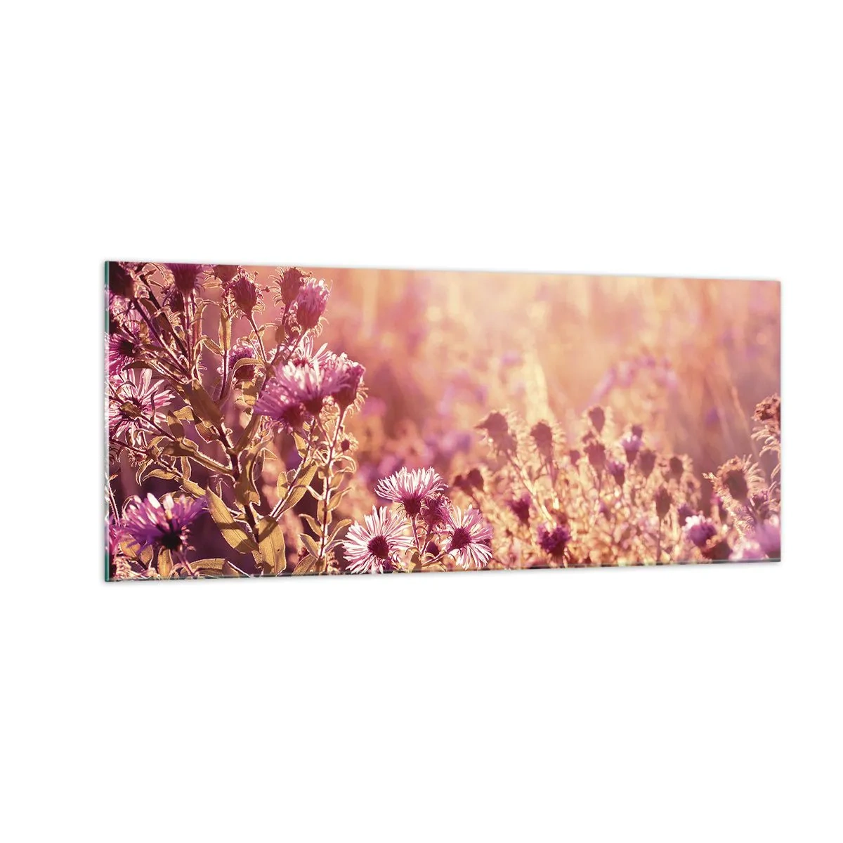 Billede på glas - Før sommeren er forbi - 100x40 cm