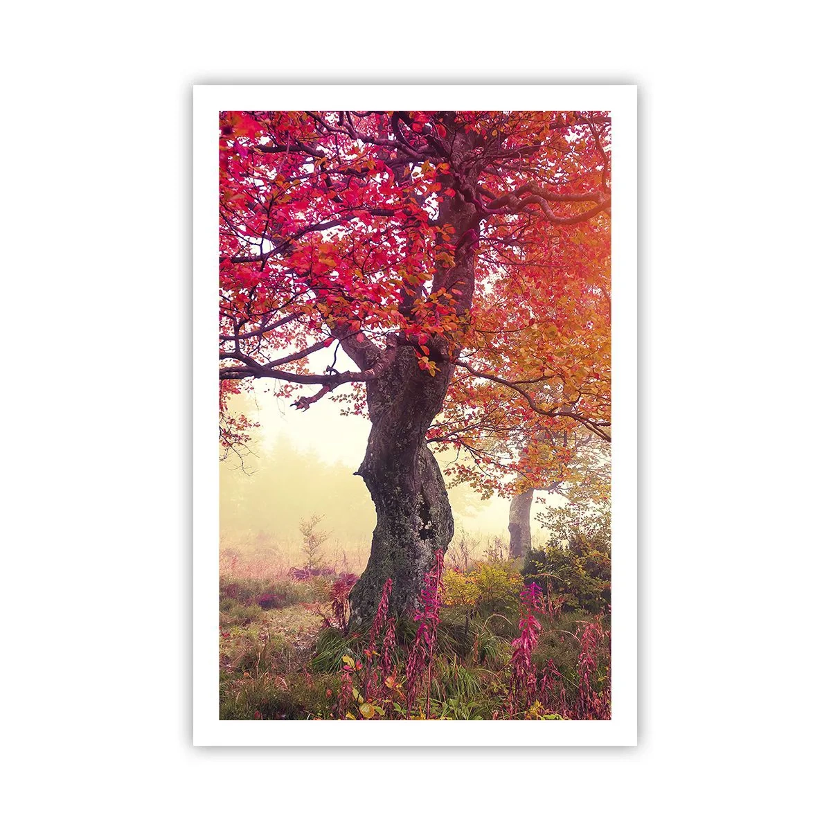 Plakat - Et væld af blomstring - 61x91 cm