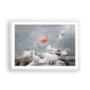 Plakat i hvid ramme - Hvor kommer jeg fra? - 70x50 cm