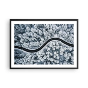 Plakat i sort ramme - Gennem en vinterskov - 70x50 cm