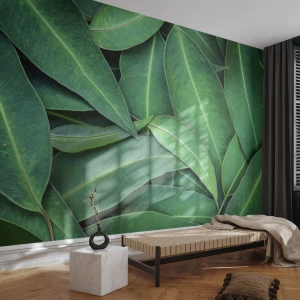 Fototapet Premium Canvas - Saftig og frisk - Blade, Eukalyptus, Natur - 150x105 cm