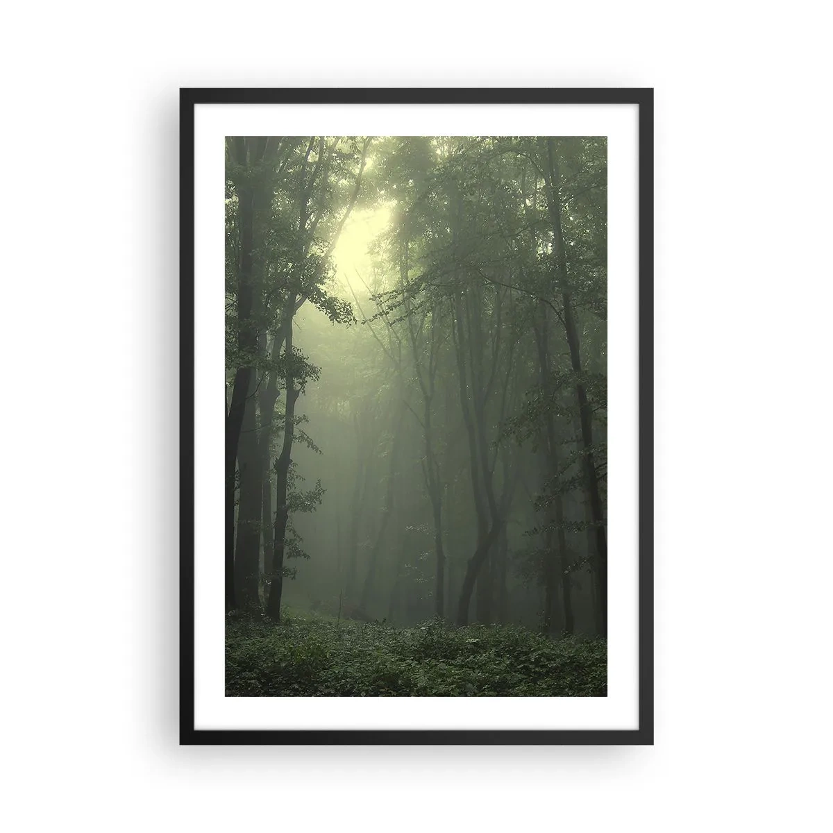 Plakat i sort ramme - Tågede træer i en grøn skov - 50x70cm - Før han vågner op - Moderne vægdekoration til stue og soveværelse ARTTOR