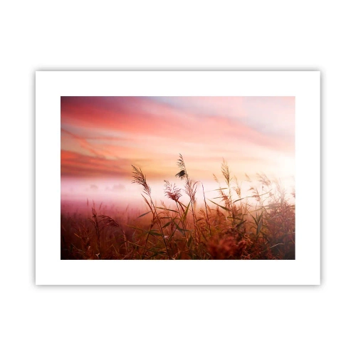 Plakat - Drager, blæsere, vind - 40x30 cm