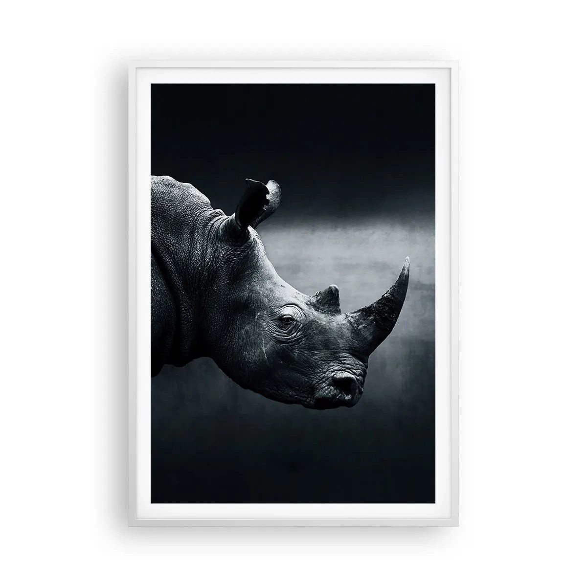 Plakat i hvid ramme - Højre profil - 70x100 cm