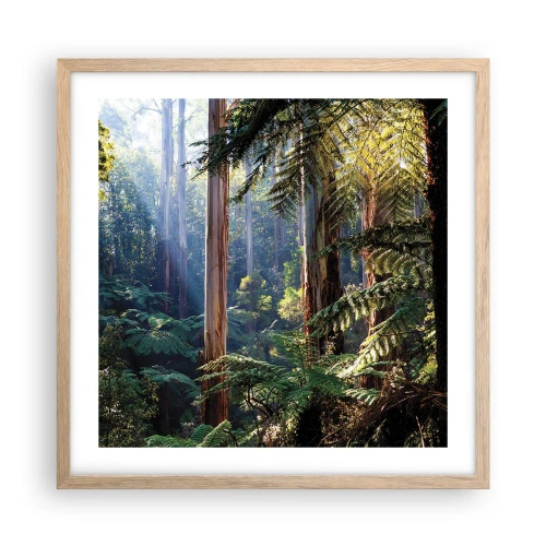 Plakat i ramme af lyst egetræ - En fortælling om skoven - 50x50 cm