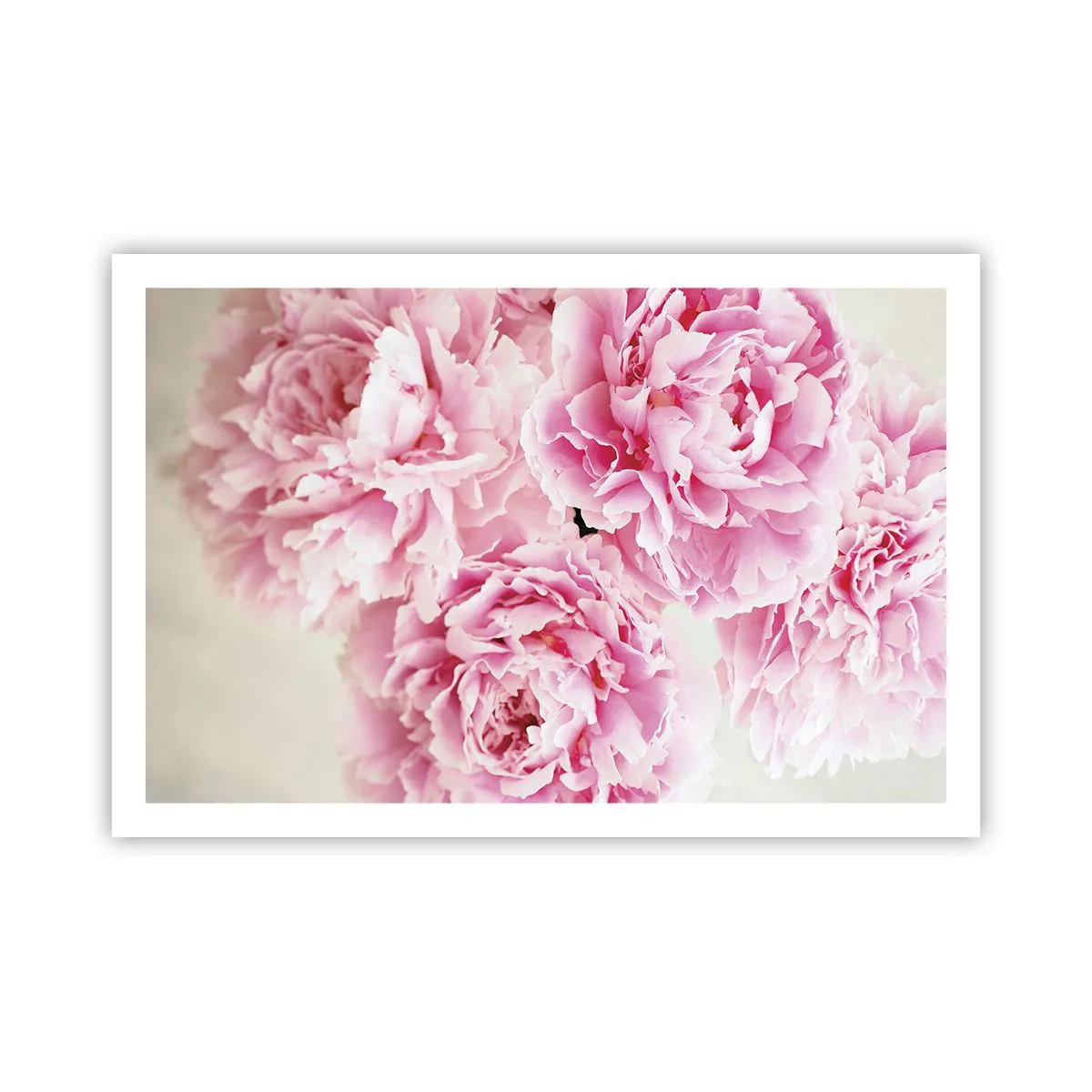 Plakat - I lyserød glamour - 91x61 cm