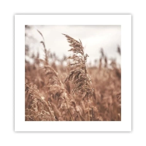 Plakat - Efteråret er allerede på markerne - 40x40 cm