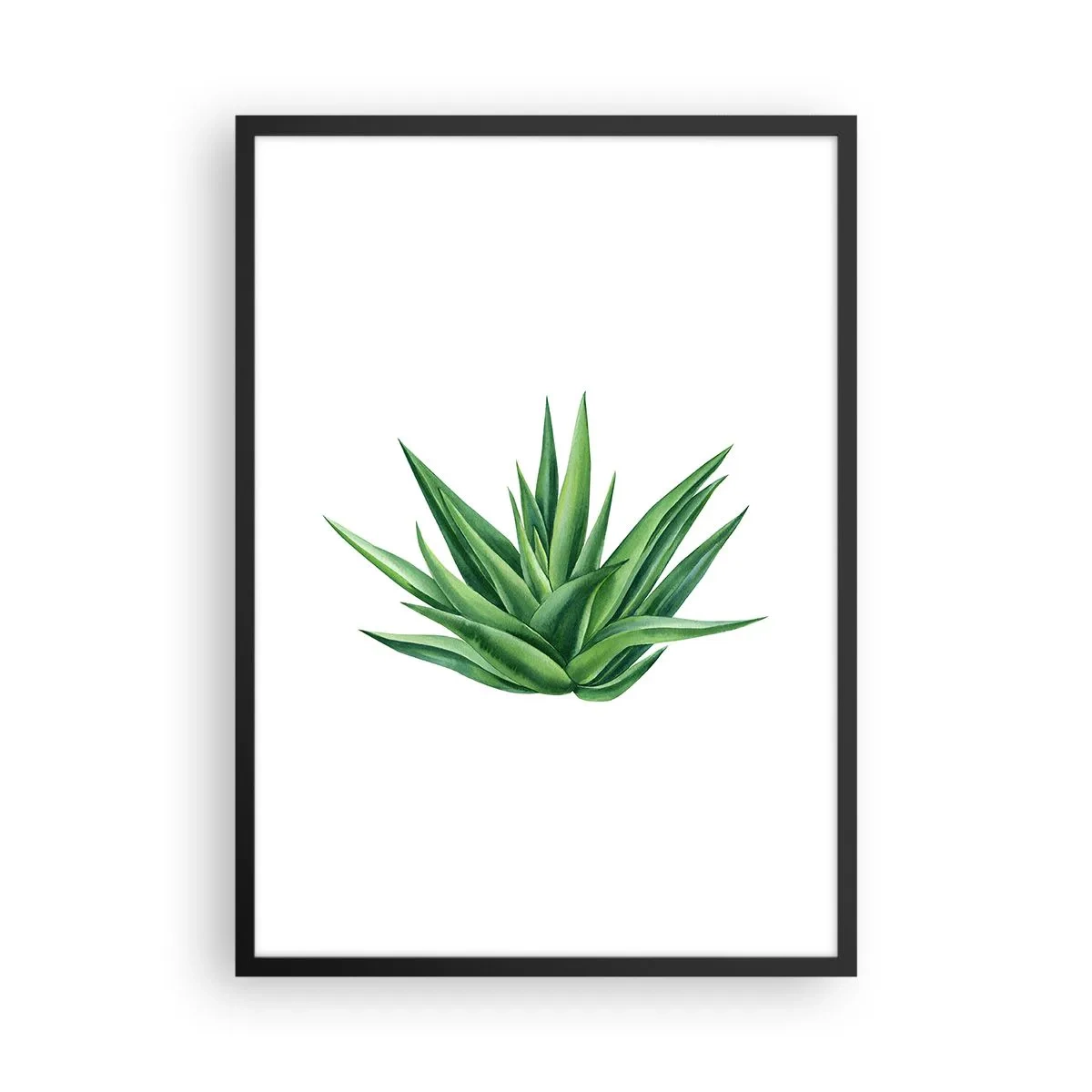Plakat i sort ramme - Minimalistisk illustration af en grøn plante - 50x70cm - Grøn - styrke - liv - Moderne vægdekoration til stue og soveværelse ARTTOR