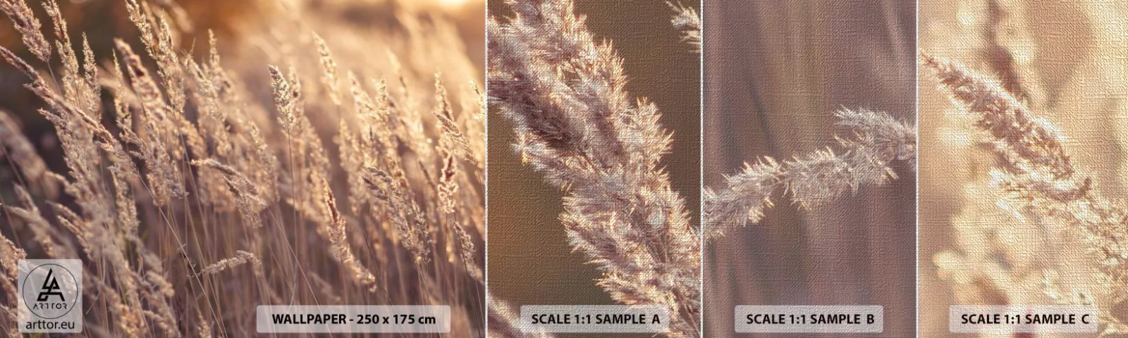 Prøve Fototapet Premium Canvas - Klar til at byde efteråret velkommen - Landskab, Ører af Korn, Eng - 100x30 cm