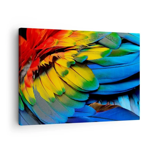 Lærredstryk - Billede på lærred - Et nærbillede af en papegøjes farverige fjer - 70x50cm - Paradisfugl - Moderne vægdekoration til stue og soveværelse ARTTOR