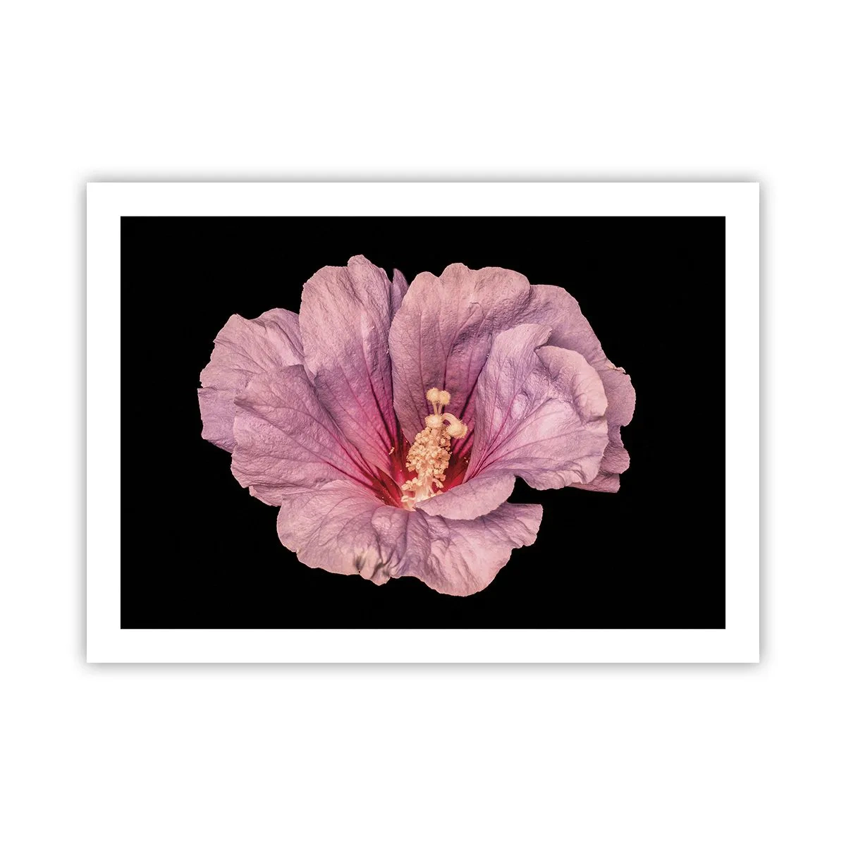 Plakat - Lige i hjertet - 70x50 cm