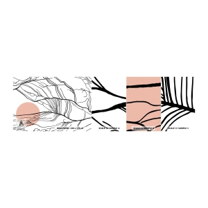 Fototapet Prøve Standard Eco - I et netværk af kviste - Abstraktion, Grafik, Design - 100x30 cm