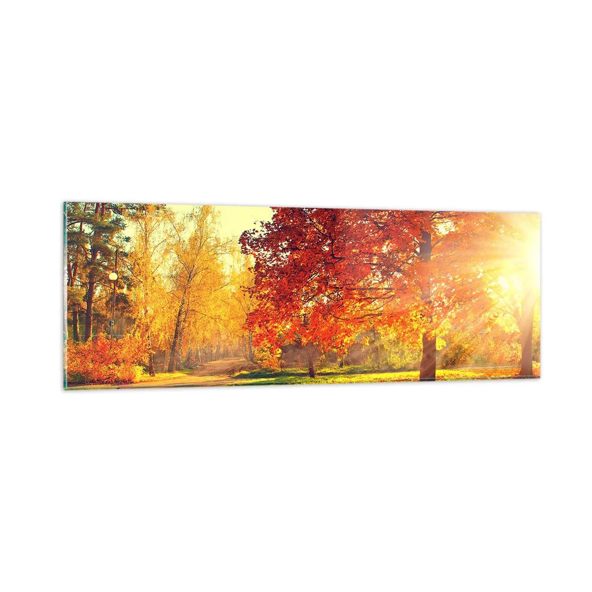 Billede på glas - Rød er smuk - 90x30 cm