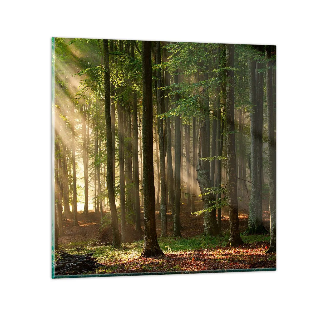 Billede på glas - Strålende på en forårsmorgen - 70x70 cm