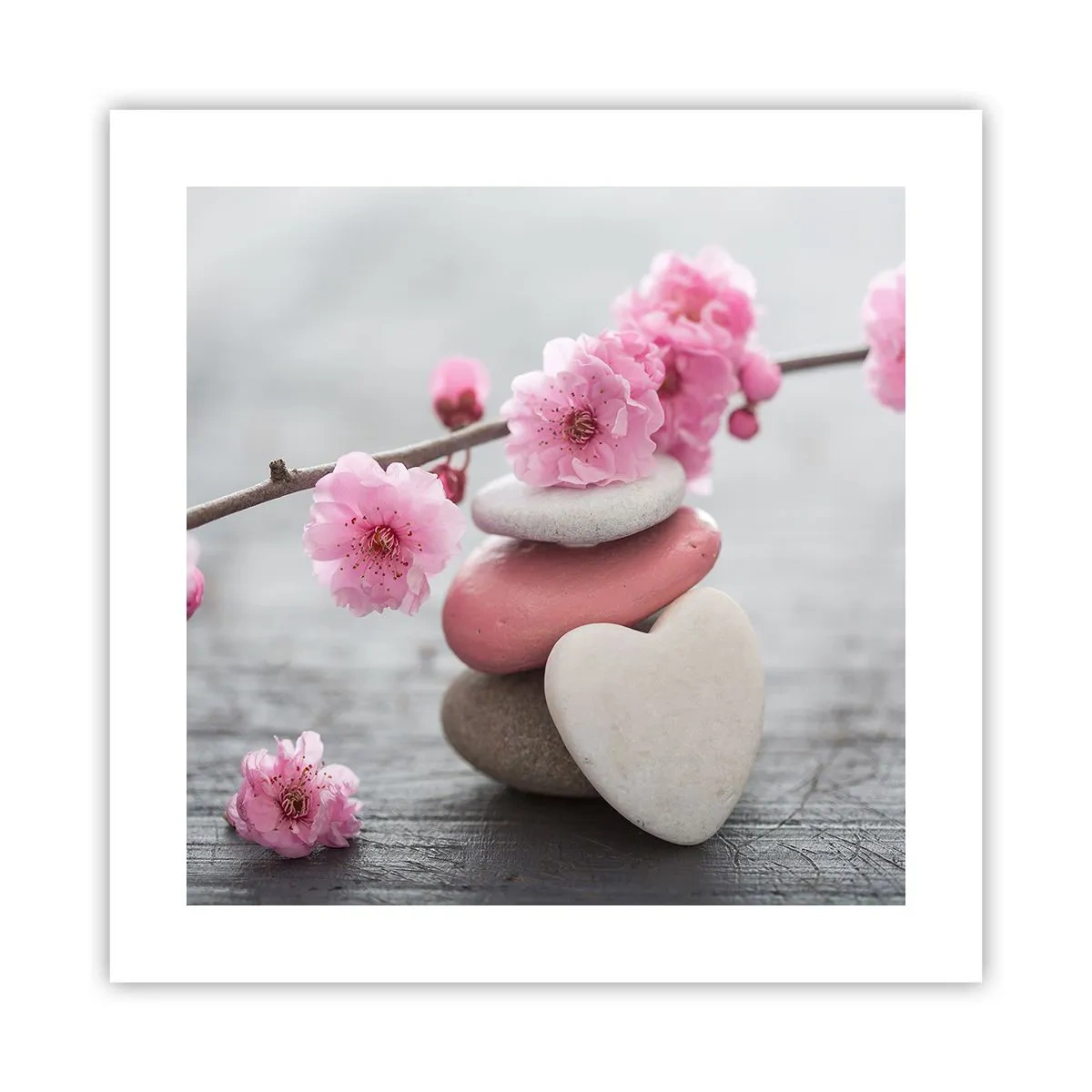 Plakat - Kirsebærblomstens lyksalighed - 40x40 cm