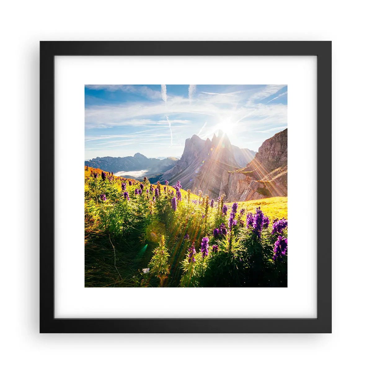 Plakat i sort ramme - Urternes hemmelige liv - 30x30 cm