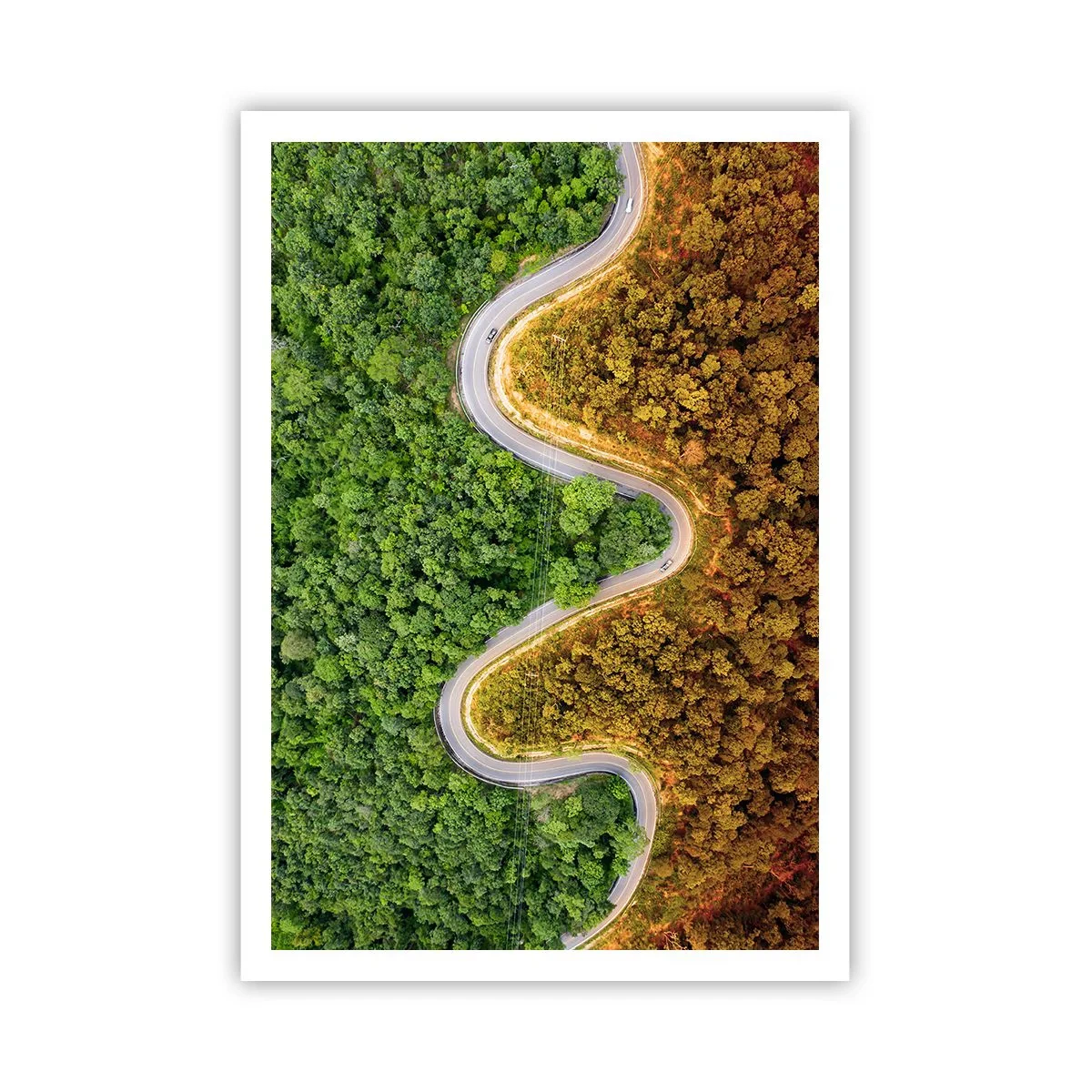 Plakat - Grænser og gennembrud - 70x100 cm