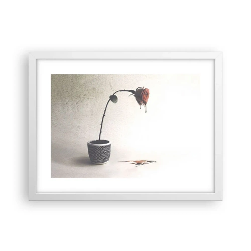 Plakat i hvid ramme - Rosa dolorosa - 40x30 cm