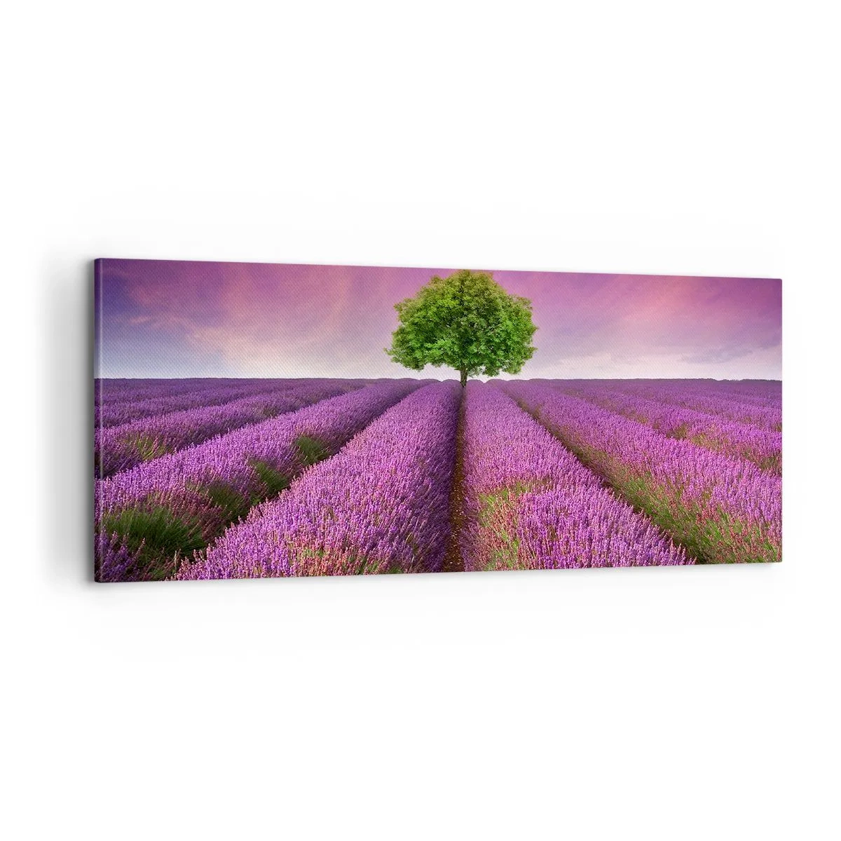 Lærredstryk - Billede på lærred - I lavendelmarker - 100x40 cm