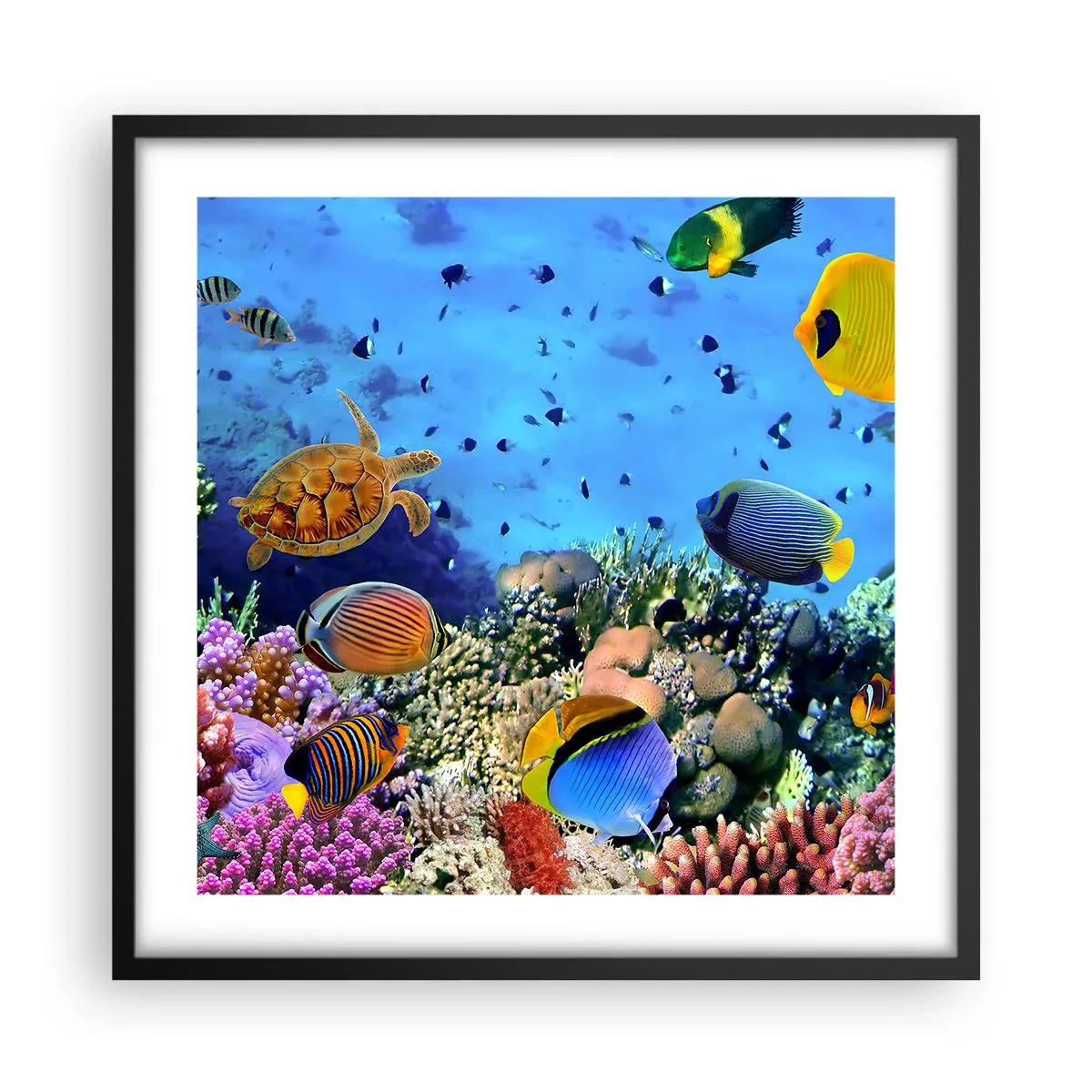 Plakat i sort ramme - Og hvad ved vi om livet... - 50x50 cm