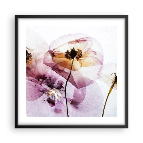 Plakat i sort ramme - Blomsterlegeme dias - 50x50 cm